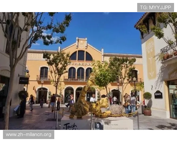 如何申请米兰会员卡，提升您的购物体验和享受更多会员专属福利